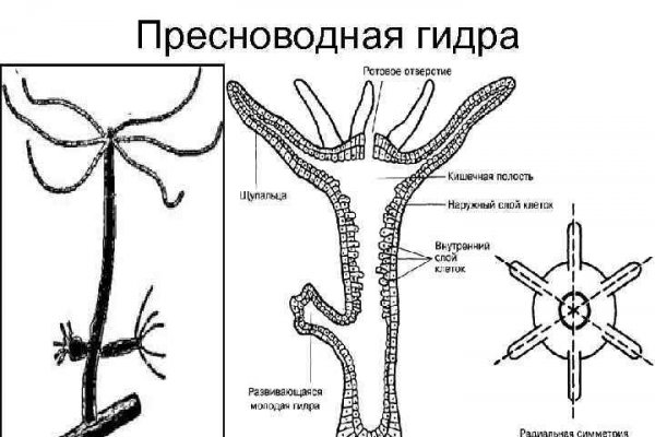 Кракен пишет пользователь не найден
