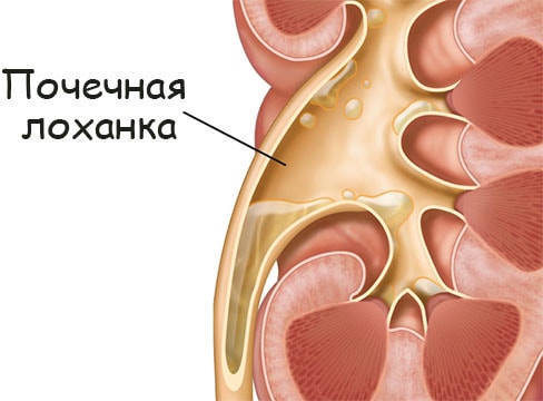 Кракен kr2web in